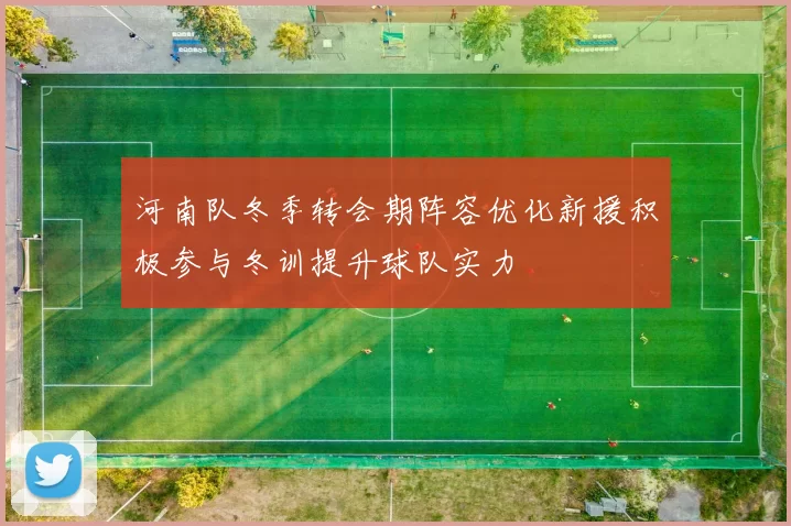河南队冬季转会期阵容优化新援积极参与冬训提升球队实力